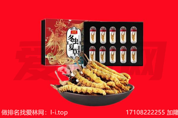 荆州市监利回收虫草.jpg
